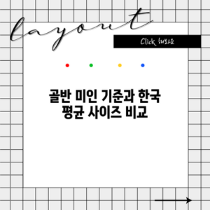 골반 미인 기준과 한국 평균 사이즈 비교