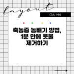 축농증 농빼기 방법, 1분 만에 콧물 제거하기