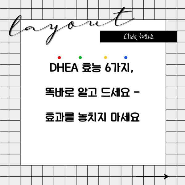 DHEA 효능 6가지, 똑바로 알고 드세요 – 효과를 놓치지 마세요