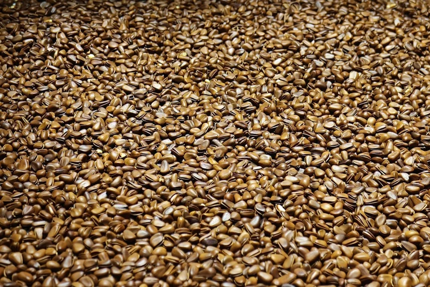 Flaxseed