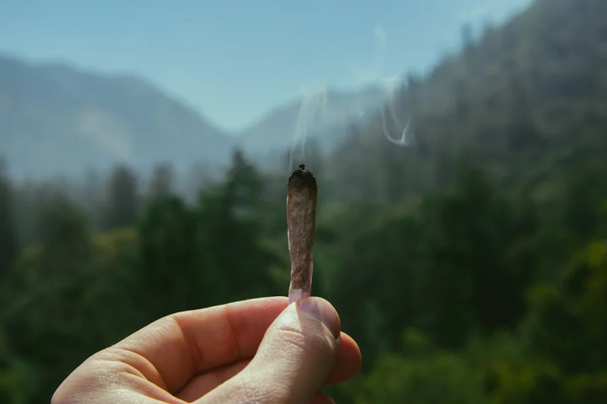 Joint