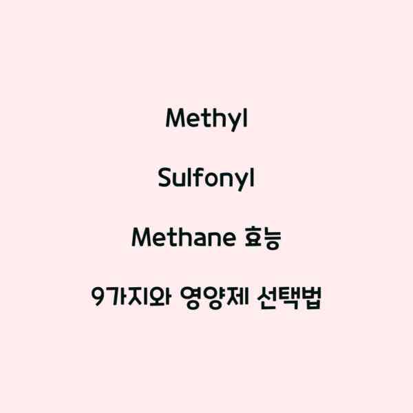 Methyl Sulfonyl Methane 효능 9가지와 영양제 선택법