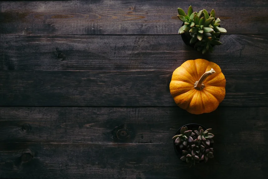 Pumpkin