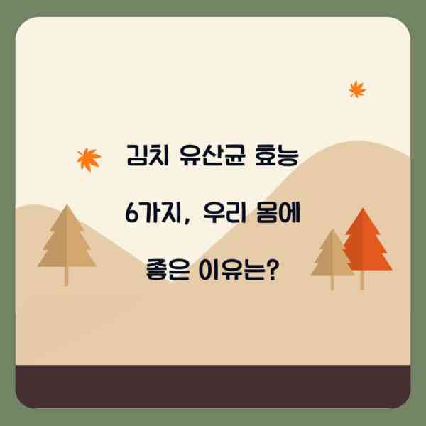 김치 유산균 효능 6가지, 우리 몸에 좋은 이유는?
