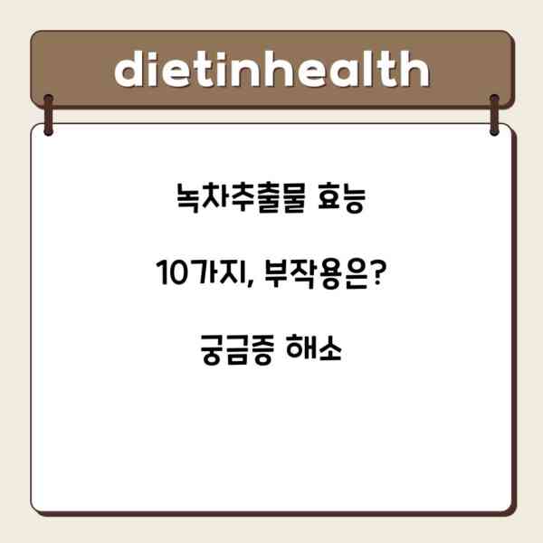 녹차추출물 효능 10가지, 부작용은? 궁금증 해소