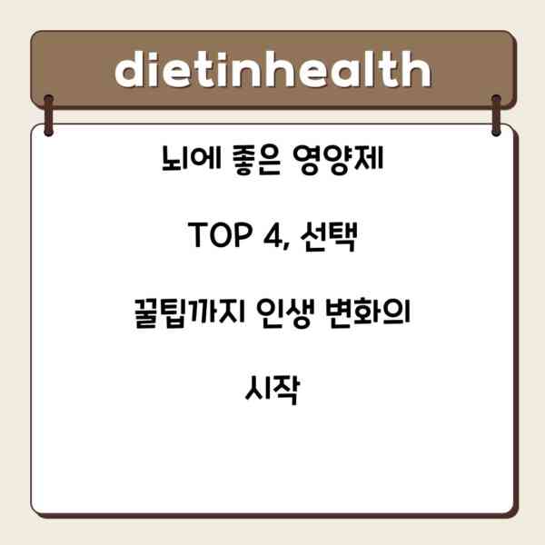 뇌에 좋은 영양제 TOP 4, 선택 꿀팁까지 인생 변화의 시작