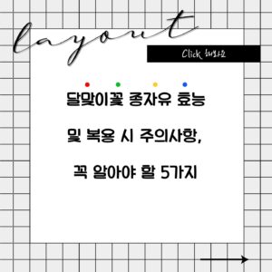 달맞이꽃 종자유 효능 및 복용 시 주의사항, 꼭 알아야 할 5가지