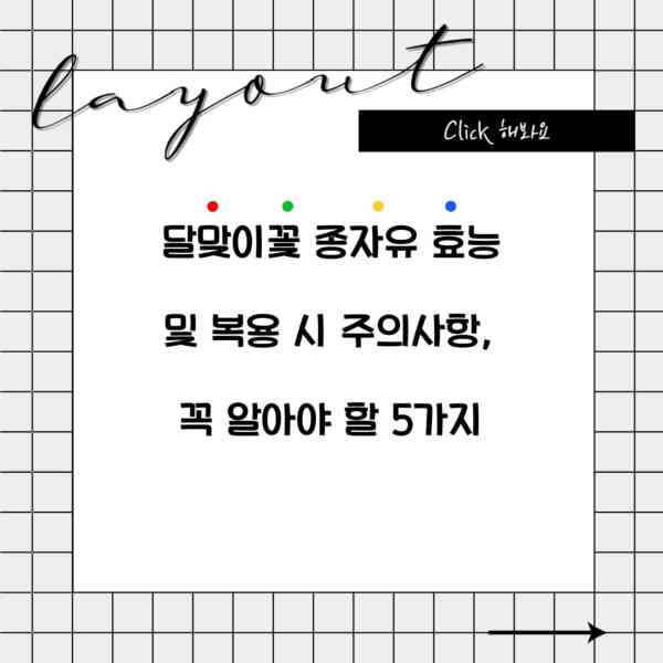 달맞이꽃 종자유 효능 및 복용 시 주의사항, 꼭 알아야 할 5가지