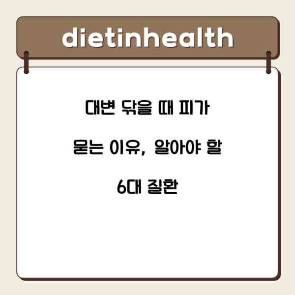 대변 닦을 때 피가 묻는 이유, 알아야 할 6대 질환