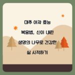 대추 야자 효능 복용법, 신이 내린 생명의 나무로 건강한 삶 시작하기