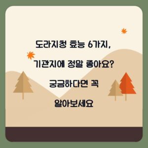 도라지청 효능 6가지, 기관지에 정말 좋아요? 궁금하다면 꼭 알아보세요