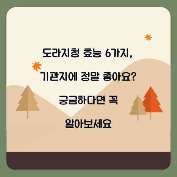 도라지청 효능 6가지, 기관지에 정말 좋아요? 궁금하다면 꼭 알아보세요