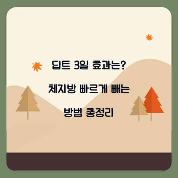 딥트 3일 효과는? 체지방 빠르게 빼는 방법 총정리