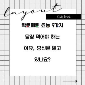 락토페린 효능 9가지 당장 먹어야 하는 이유, 당신은 알고 있나요?