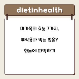 마가목의 효능 7가지, 부작용과 먹는 법은? 한눈에 파악하기