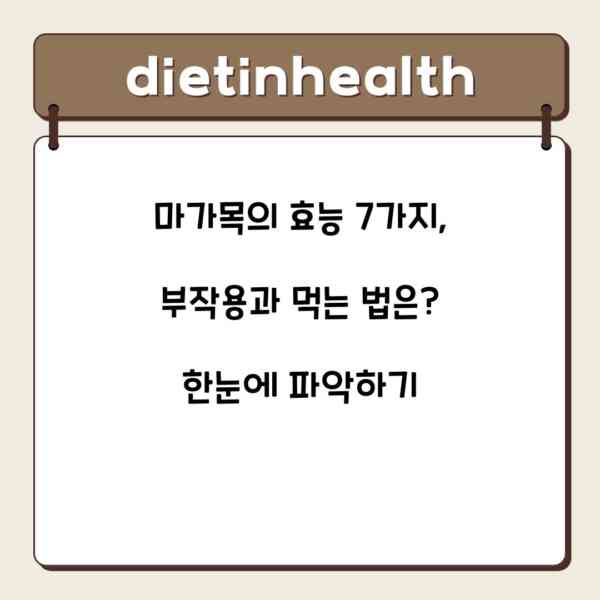 마가목의 효능 7가지, 부작용과 먹는 법은? 한눈에 파악하기