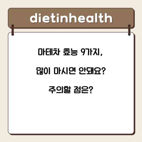 마테차 효능 9가지, 많이 마시면 안돼요? 주의할 점은?
