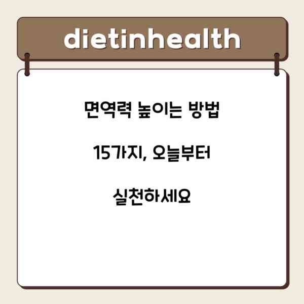 면역력 높이는 방법 15가지, 오늘부터 실천하세요