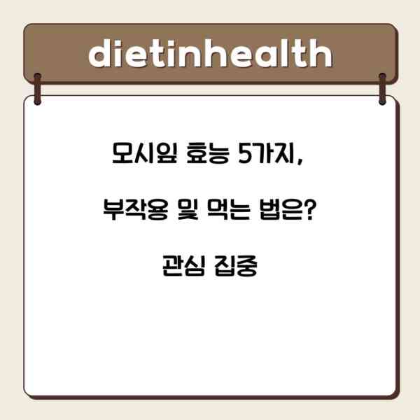 모시잎 효능 5가지, 부작용 및 먹는 법은? 관심 집중