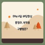 미녹시딜 쉐딩현상 총정리, 부작용 구별법은?