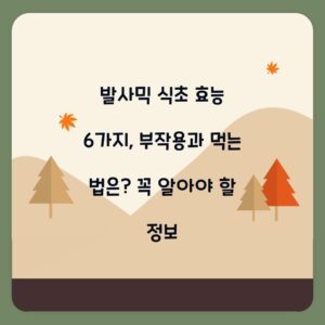 발사믹 식초 효능 6가지, 부작용과 먹는 법은? 꼭 알아야 할 정보