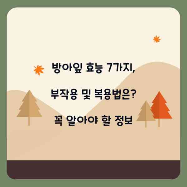 방아잎 효능 7가지, 부작용 및 복용법은? 꼭 알아야 할 정보