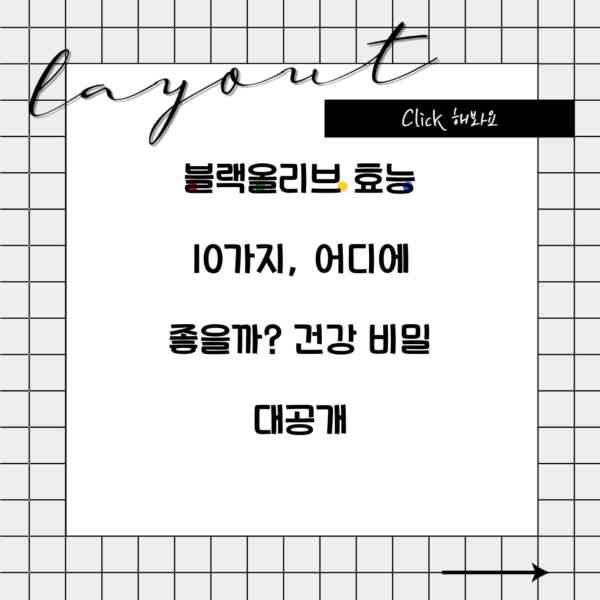 블랙올리브 효능 10가지, 어디에 좋을까? 건강 비밀 대공개