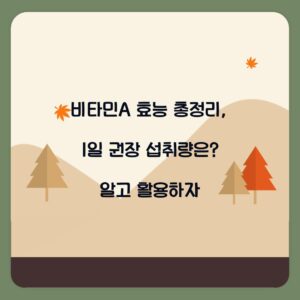 비타민A 효능 총정리, 1일 권장 섭취량은? 알고 활용하자