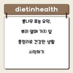뽕나무 효능 요약, 뿌리 열매 가지 잎 총정리로 건강한 생활 시작하기