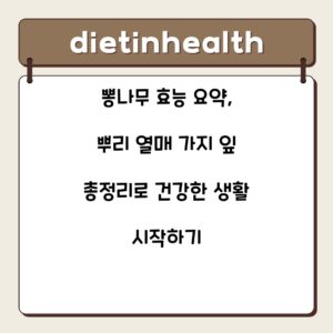 뽕나무 효능 요약, 뿌리 열매 가지 잎 총정리로 건강한 생활 시작하기