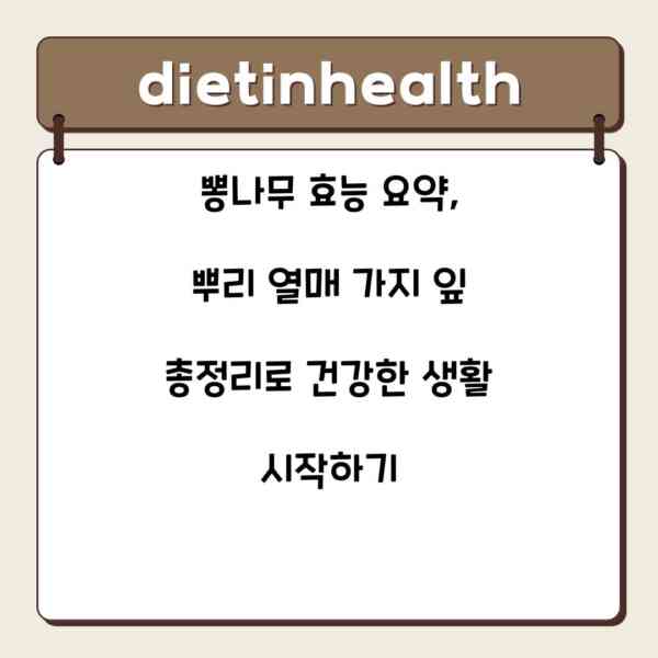 뽕나무 효능 요약, 뿌리 열매 가지 잎 총정리로 건강한 생활 시작하기