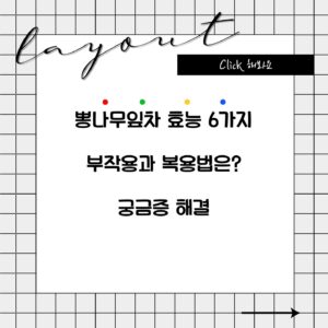 뽕나무잎차 효능 6가지 부작용과 복용법은? 궁금증 해결