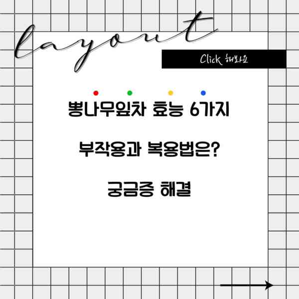 뽕나무잎차 효능 6가지 부작용과 복용법은? 궁금증 해결