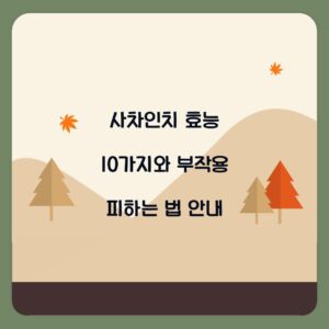 사차인치 효능 10가지와 부작용 피하는 법 안내