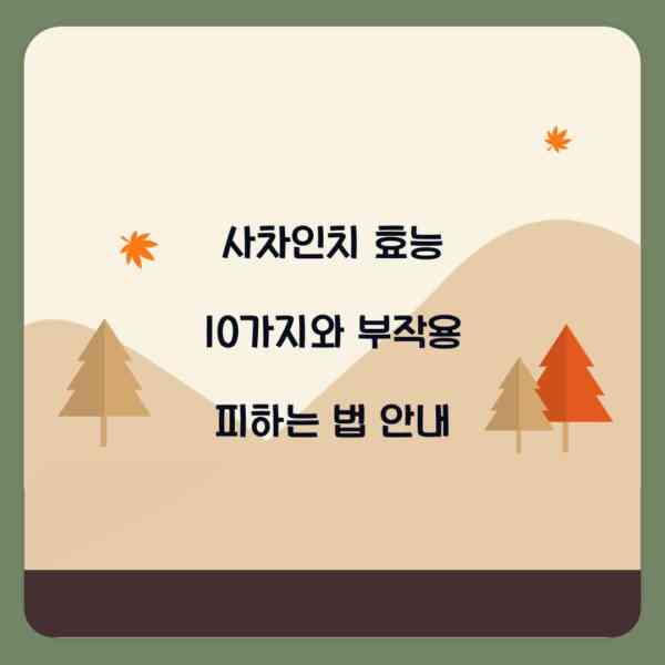 사차인치 효능 10가지와 부작용 피하는 법 안내