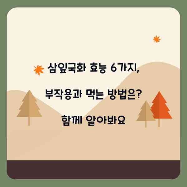 삼잎국화 효능 6가지, 부작용과 먹는 방법은? 함께 알아봐요