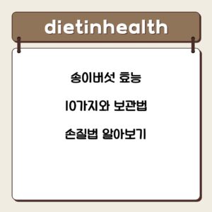 송이버섯 효능 10가지와 보관법 손질법 알아보기