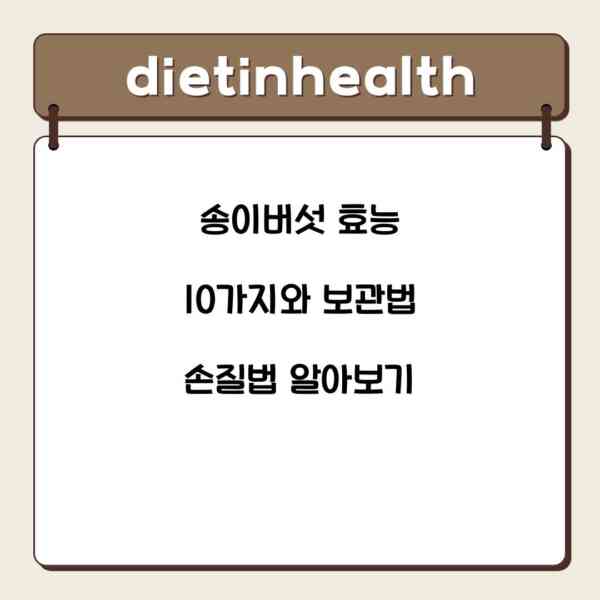 송이버섯 효능 10가지와 보관법 손질법 알아보기