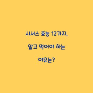 시서스 효능 12가지, 알고 먹어야 하는 이유는?