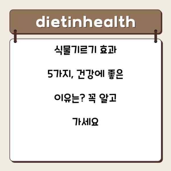 식물기르기 효과 5가지, 건강에 좋은 이유는? 꼭 알고 가세요