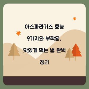 아스파라거스 효능 9가지와 부작용, 맛있게 먹는 법 완벽 정리