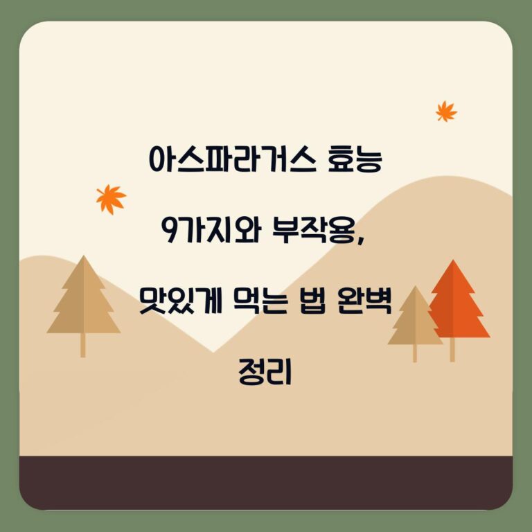 아스파라거스 효능 9가지와 부작용, 맛있게 먹는 법 완벽 정리