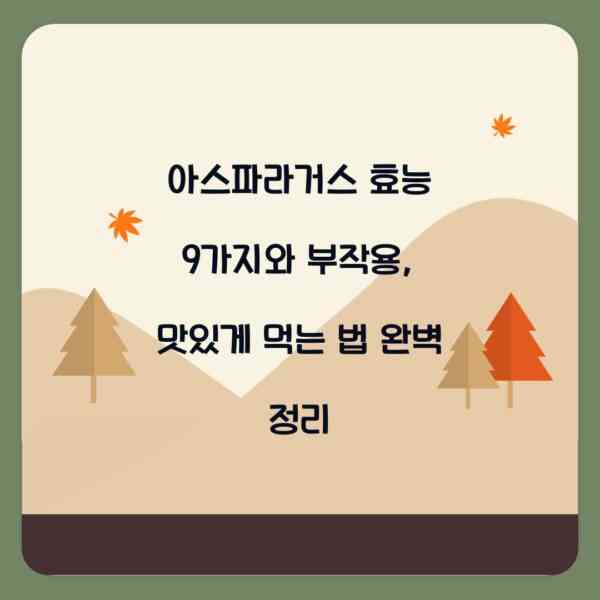 아스파라거스 효능 9가지와 부작용, 맛있게 먹는 법 완벽 정리