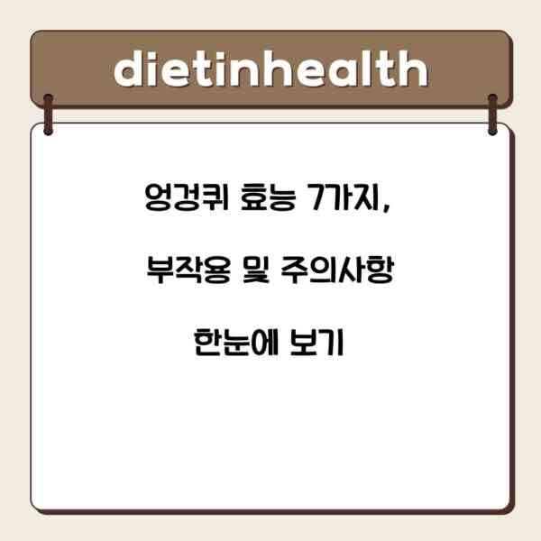 엉겅퀴 효능 7가지, 부작용 및 주의사항 한눈에 보기