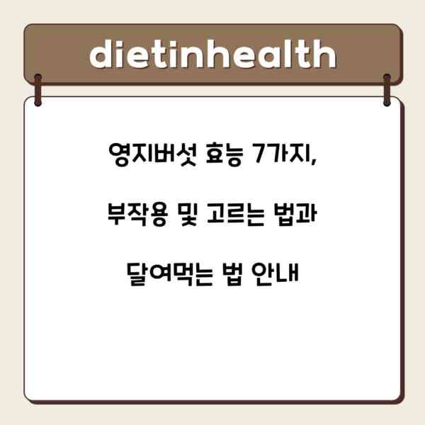 영지버섯 효능 7가지, 부작용 및 고르는 법과 달여먹는 법 안내