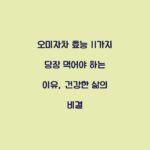 오미자차 효능 11가지 당장 먹어야 하는 이유, 건강한 삶의 비결