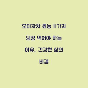 오미자차 효능 11가지 당장 먹어야 하는 이유, 건강한 삶의 비결