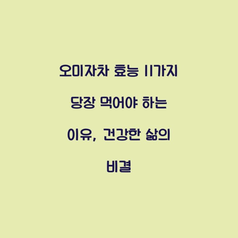 오미자차 효능 11가지 당장 먹어야 하는 이유, 건강한 삶의 비결