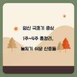 임신 극초기 증상 1주~4주 총정리, 놓치기 쉬운 신호들