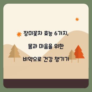 장미꽃차 효능 6가지, 몸과 마음을 위한 비약으로 건강 챙기기